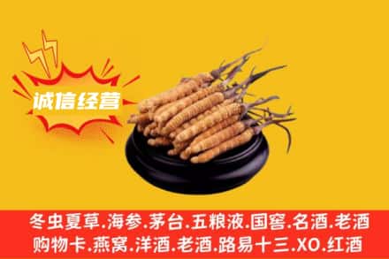 伊春市汤旺回收冬虫夏草
